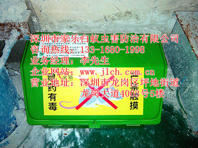 坪山專業(yè)除蟲滅鼠、白蟻防治