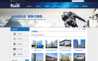 標頂官方網站設計制作 成功案例 沙漠風網站建設公司